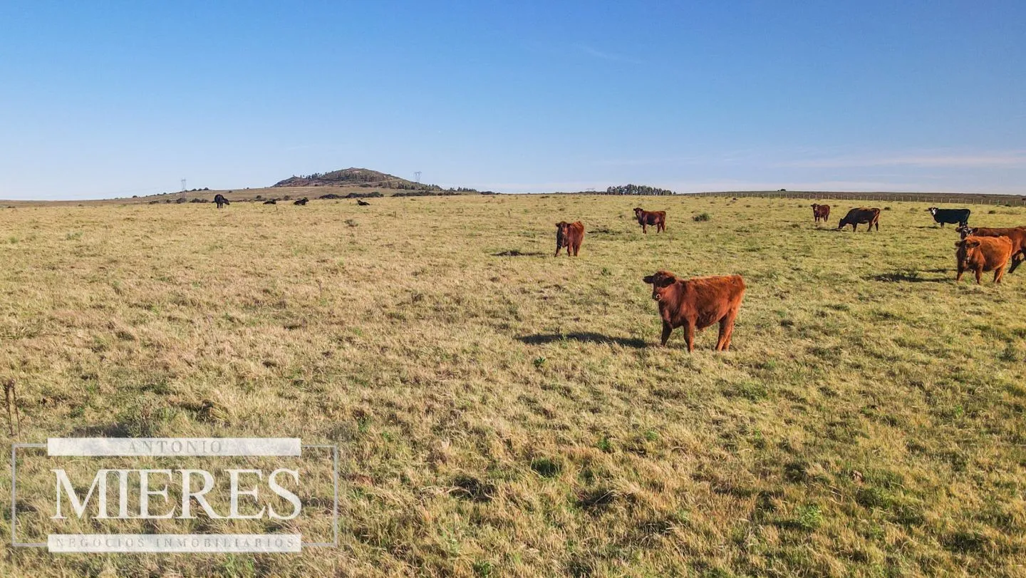 Campo en venta de 164 ha Maldonado, Uruguay — foto 24