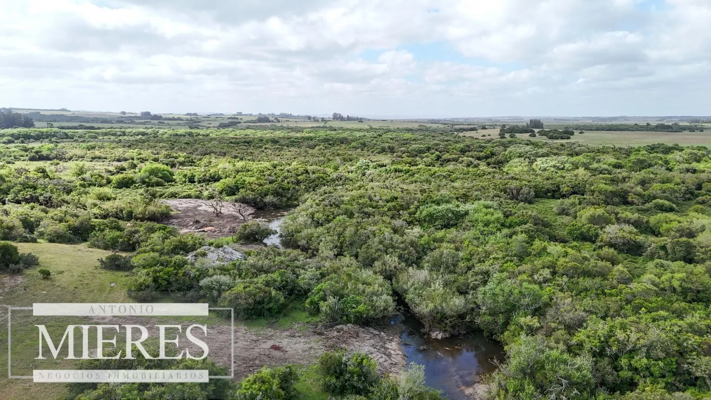 Chacra / Campo 3 ha en Laguna José Ignacio — foto 1