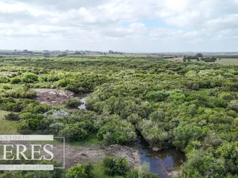 Chacra / Campo 3 ha en Laguna José Ignacio