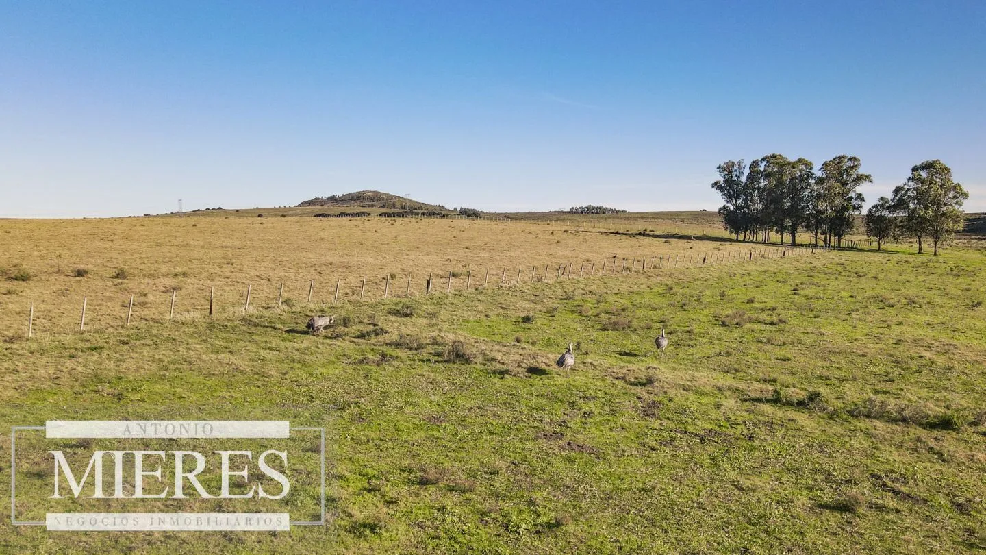 Campo en venta de 164 ha Maldonado, Uruguay — foto 25