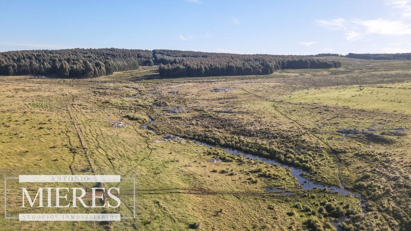 Campo en venta de 164 ha Maldonado, Uruguay — foto 26