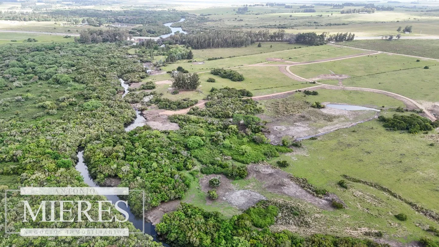 Chacra / Campo 3 ha en Laguna José Ignacio — foto 3