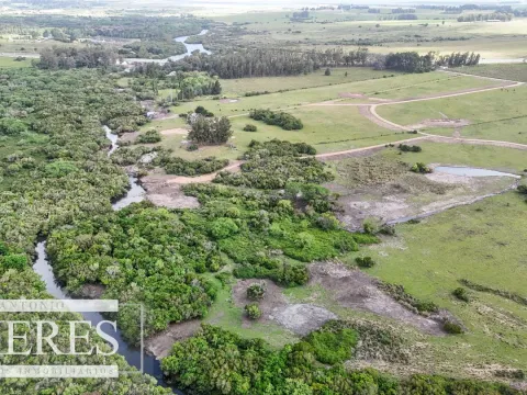 Chacra / Campo 3 ha en Laguna José Ignacio — foto 3