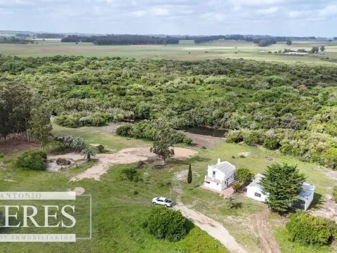 Chacra / Campo 3 ha en Laguna José Ignacio — foto 4