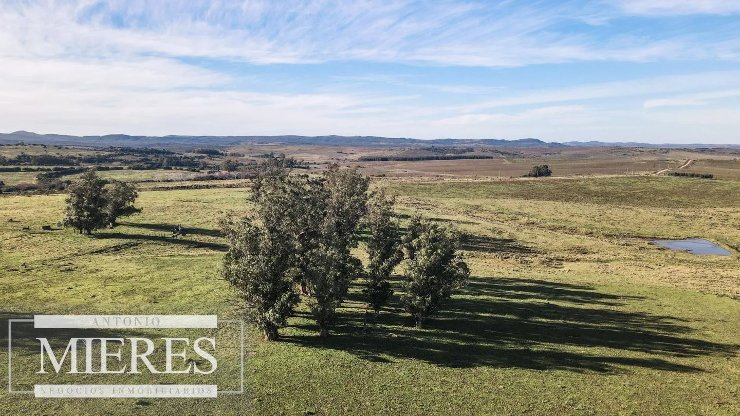 Campo en venta de 164 ha Maldonado, Uruguay — foto 27