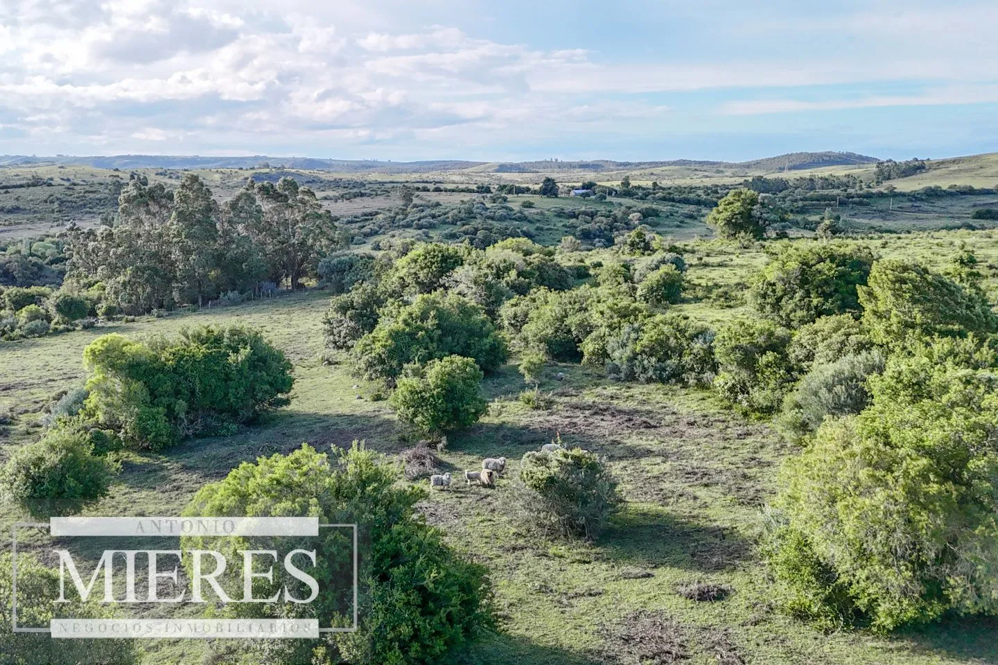 Chacra de 3 ha en Pueblo Edén Maldonado, Uruguay. — foto 16