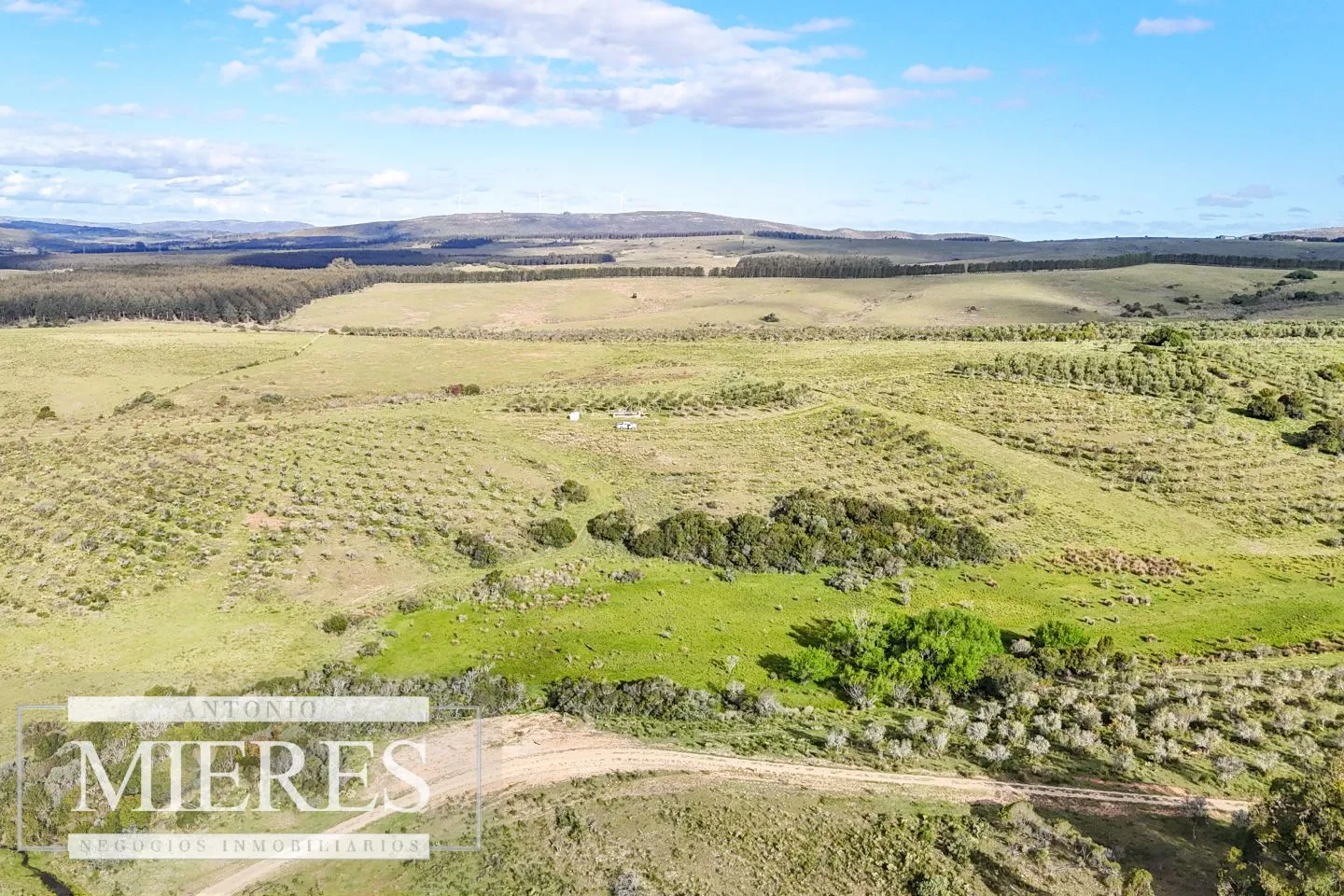 Chacra de 7ha con olivos en Pueblo Eden Maldonado — foto 1