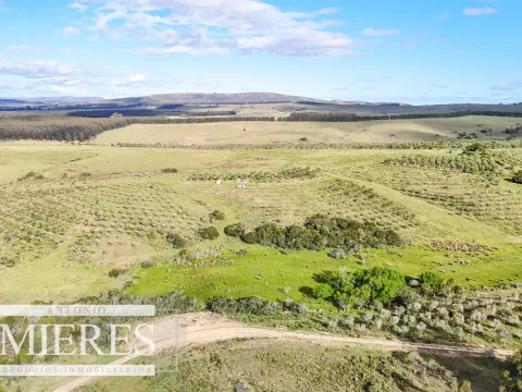 Chacra de 7ha con olivos en Pueblo Eden Maldonado