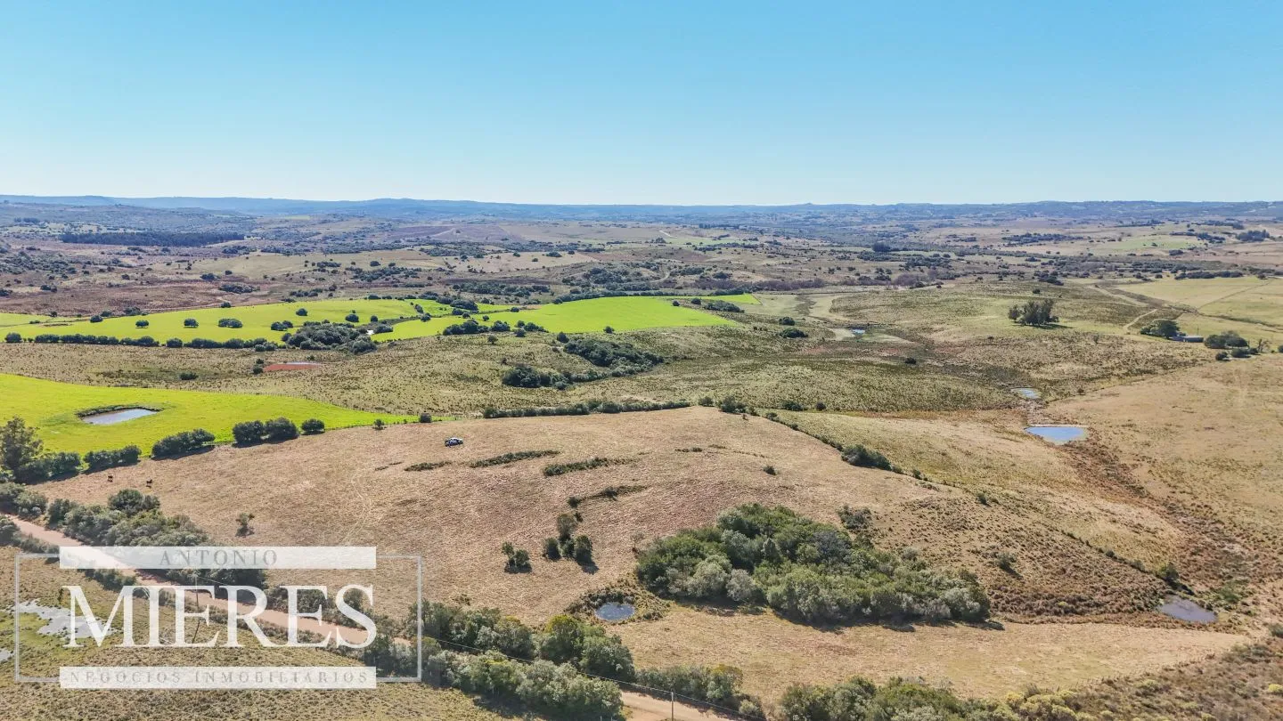 Chacra en venta de 4,5 ha al norte de ruta 9 Maldonado — foto 3