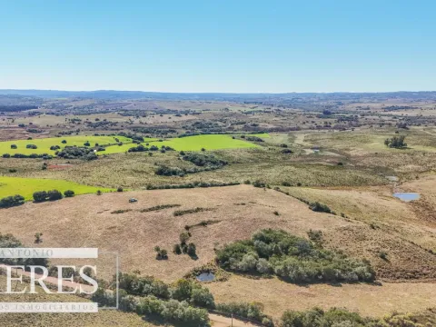 Chacra en venta de 4,5 ha al norte de ruta 9 Maldonado — foto 3