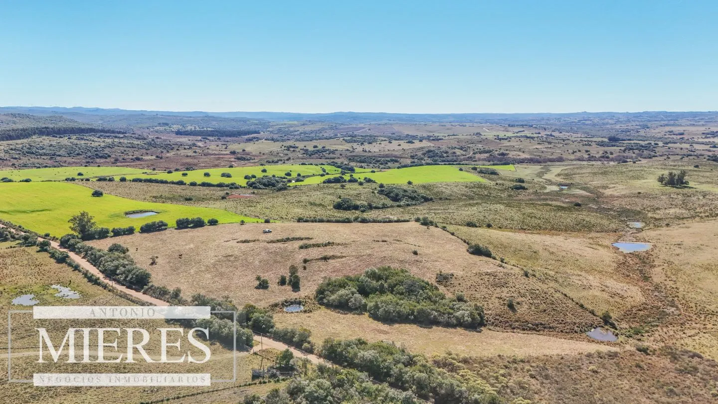 Chacra en venta de 4,5 ha al norte de ruta 9 Maldonado — foto 4