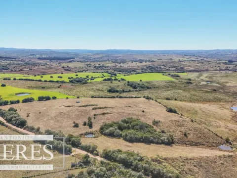 Chacra en venta de 4,5 ha al norte de ruta 9 Maldonado — foto 4