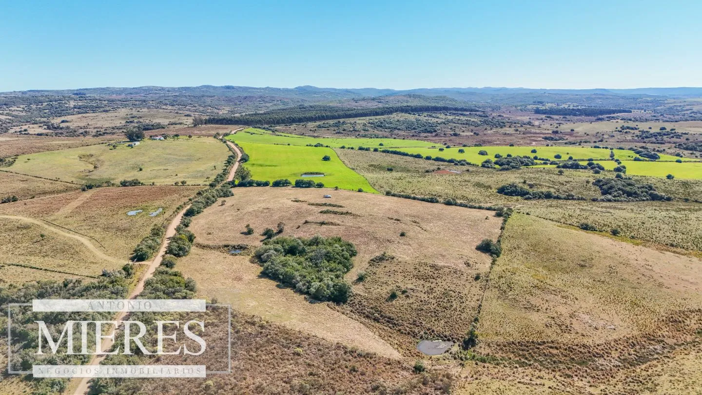 Chacra en venta de 4,5 ha al norte de ruta 9 Maldonado — foto 5