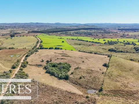 Chacra en venta de 4,5 ha al norte de ruta 9 Maldonado — foto 5