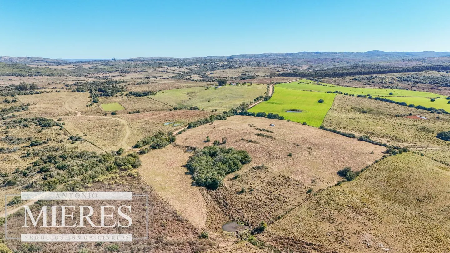Chacra en venta de 4,5 ha al norte de ruta 9 Maldonado — foto 6
