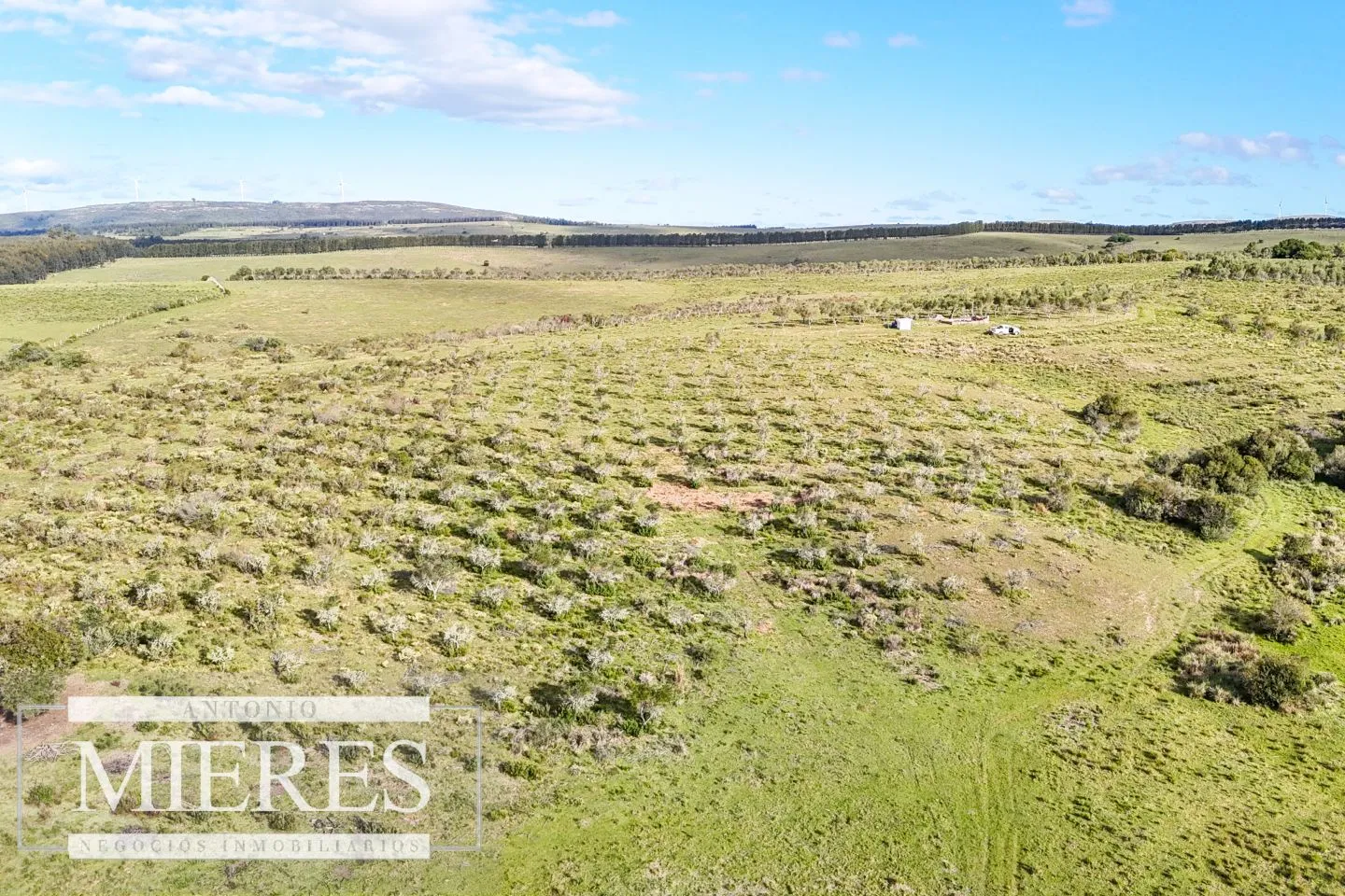 Chacra de 7ha con olivos en Pueblo Eden Maldonado — foto 6