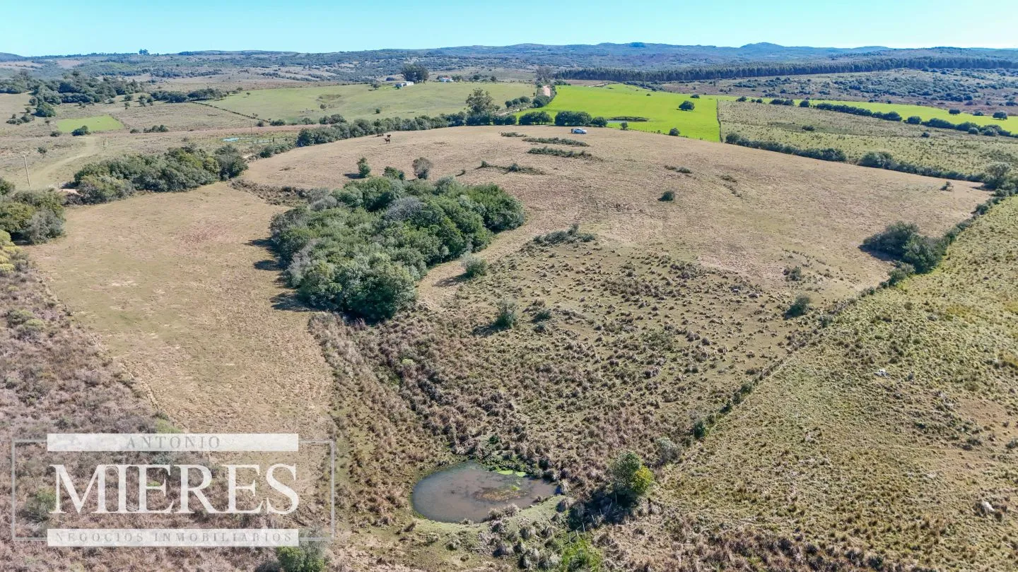 Chacra en venta de 4,5 ha al norte de ruta 9 Maldonado — foto 7