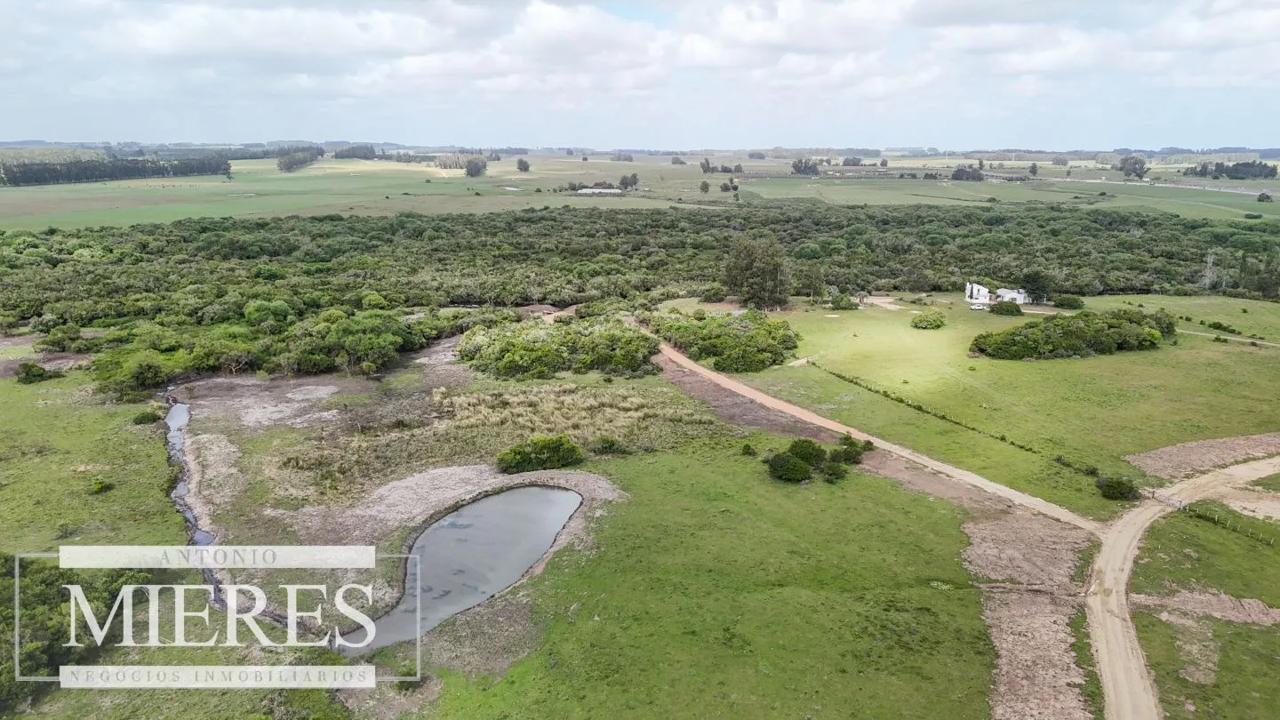 Chacra / Campo 3 ha en Laguna José Ignacio — foto 14