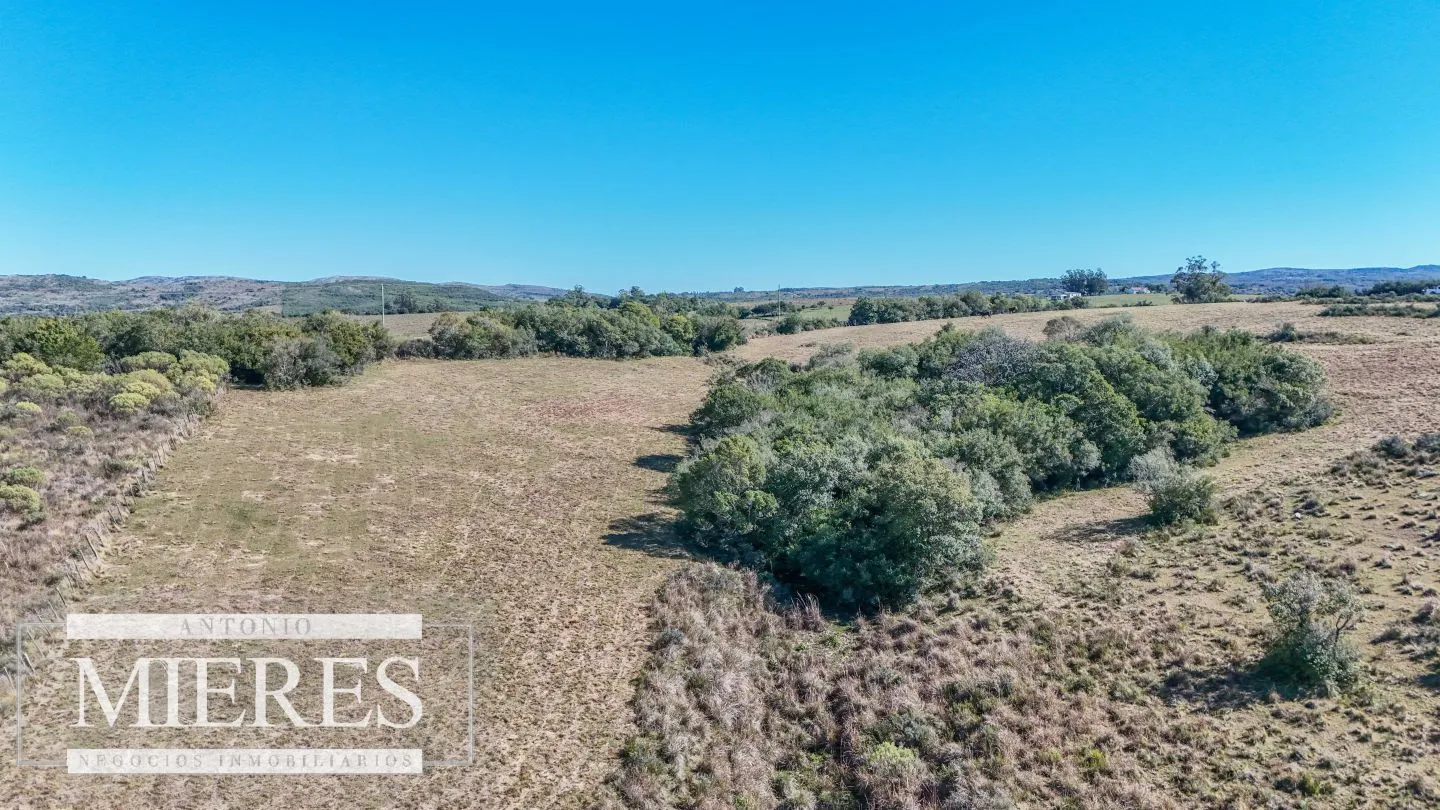 Chacra en venta de 4,5 ha al norte de ruta 9 Maldonado — foto 8