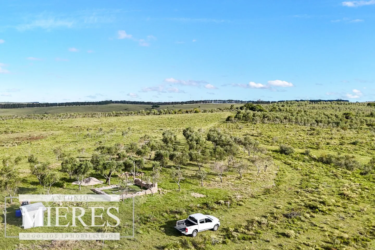 Chacra de 7ha con olivos en Pueblo Eden Maldonado — foto 9