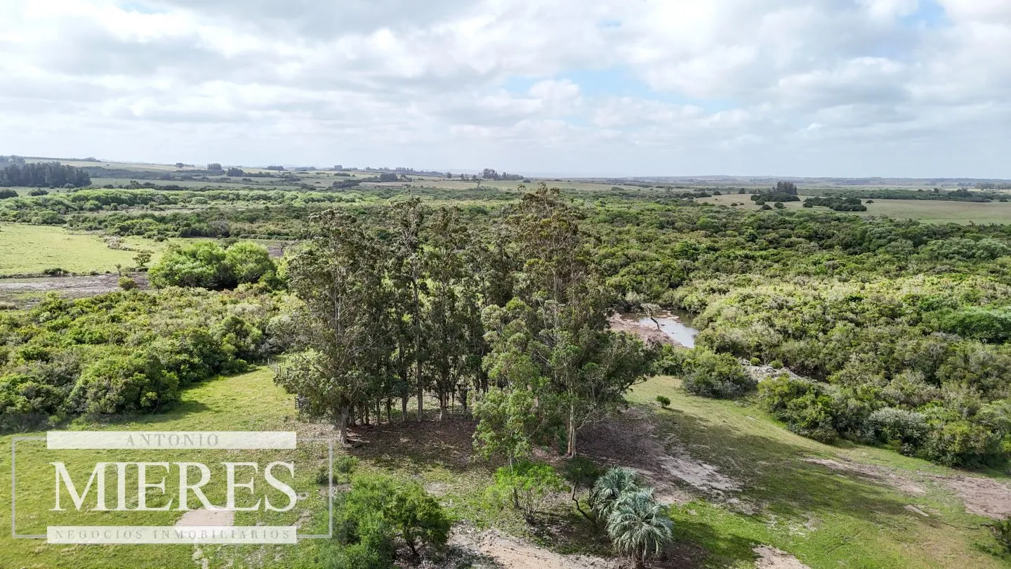 Chacra / Campo 3 ha en Laguna José Ignacio — foto 17
