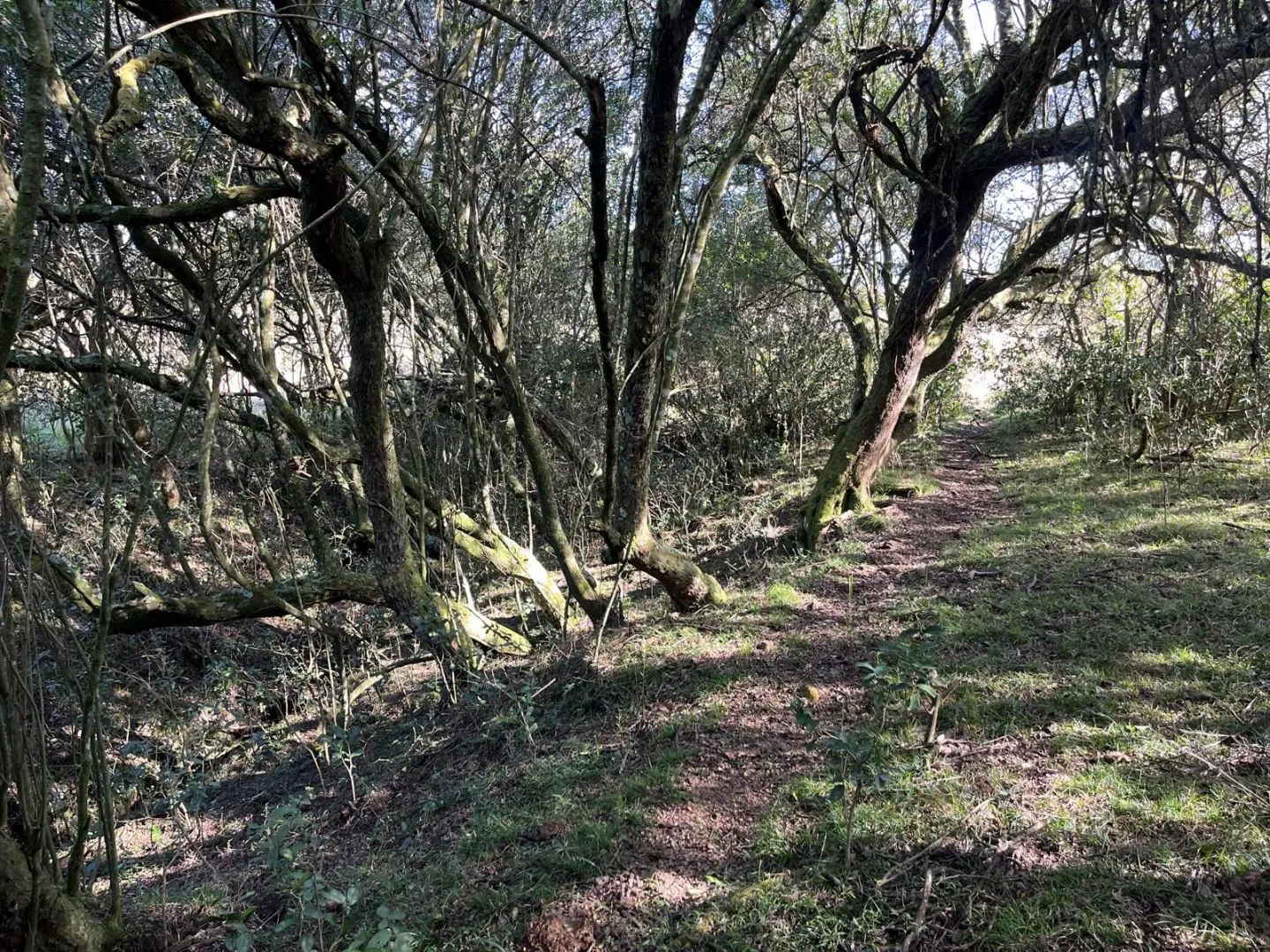 Chacra en venta de 4,5 ha al norte de ruta 9 Maldonado — foto 10