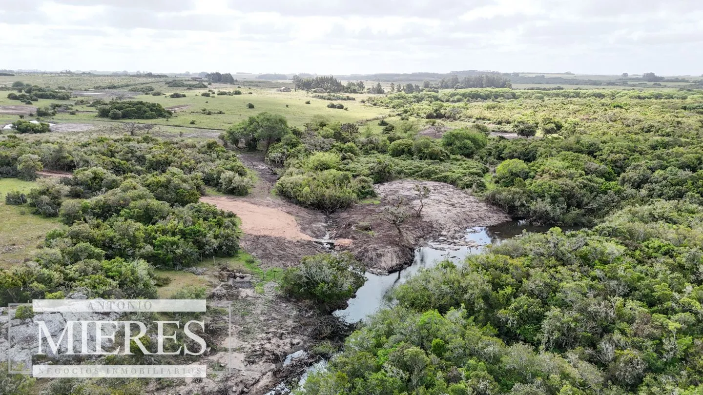 Chacra / Campo 3 ha en Laguna José Ignacio — foto 18