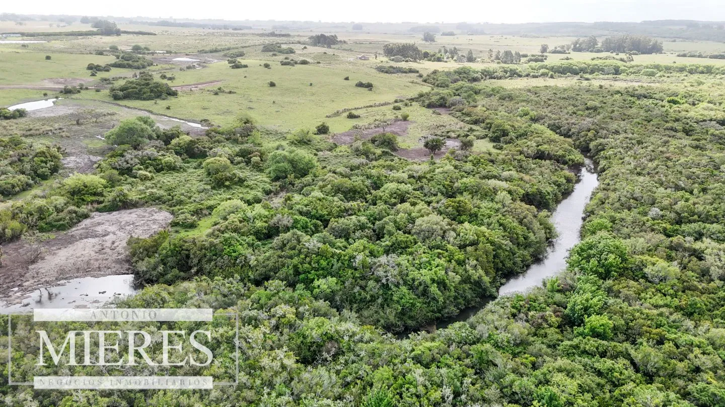 Chacra / Campo 3 ha en Laguna José Ignacio — foto 19