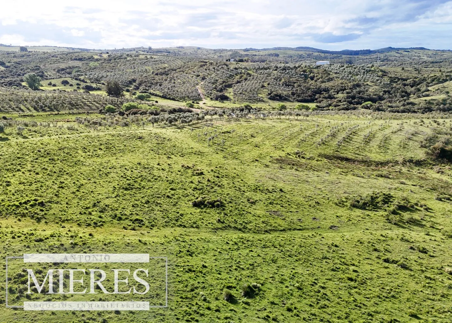Chacra de 7ha con olivos en Pueblo Eden Maldonado — foto 12