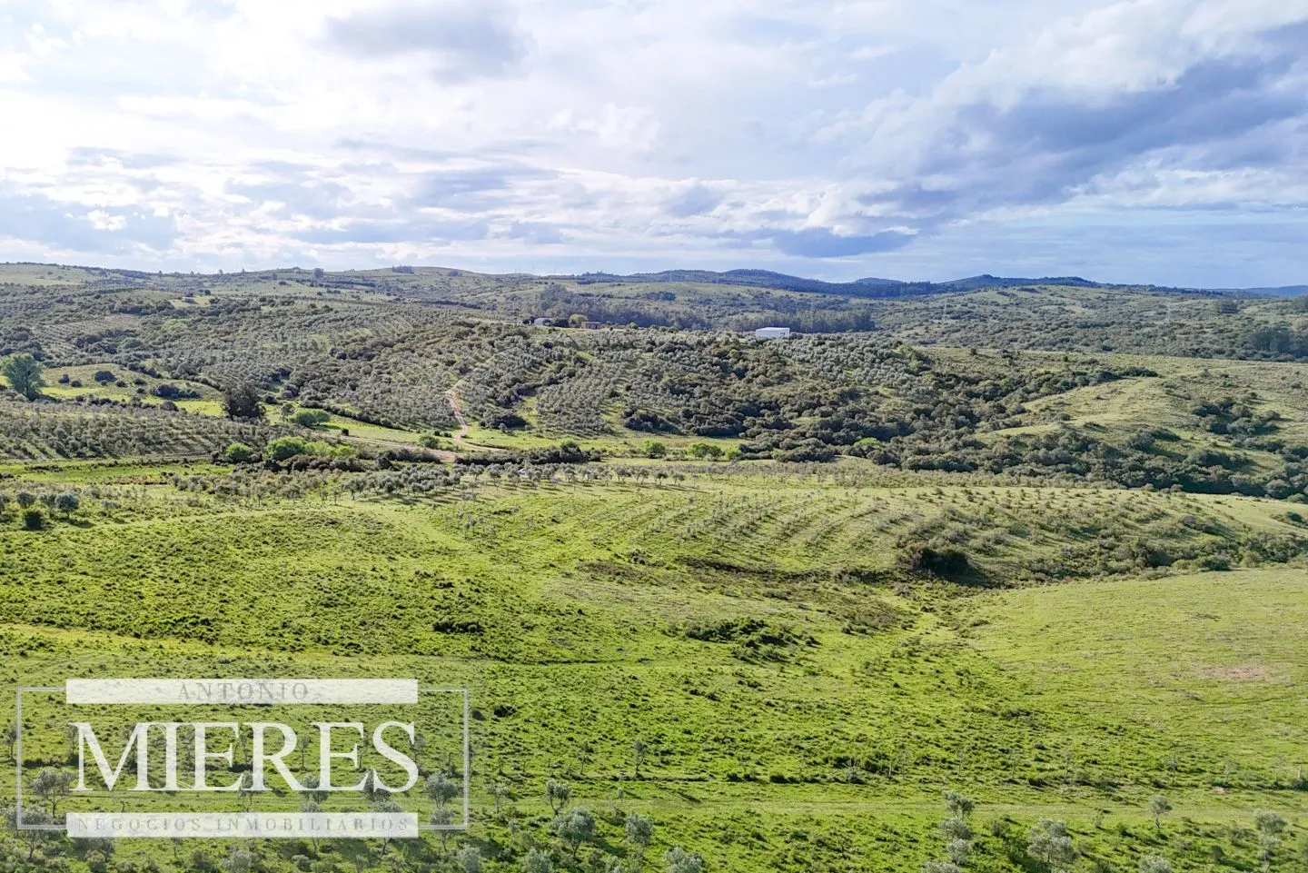 Chacra de 7ha con olivos en Pueblo Eden Maldonado — foto 13