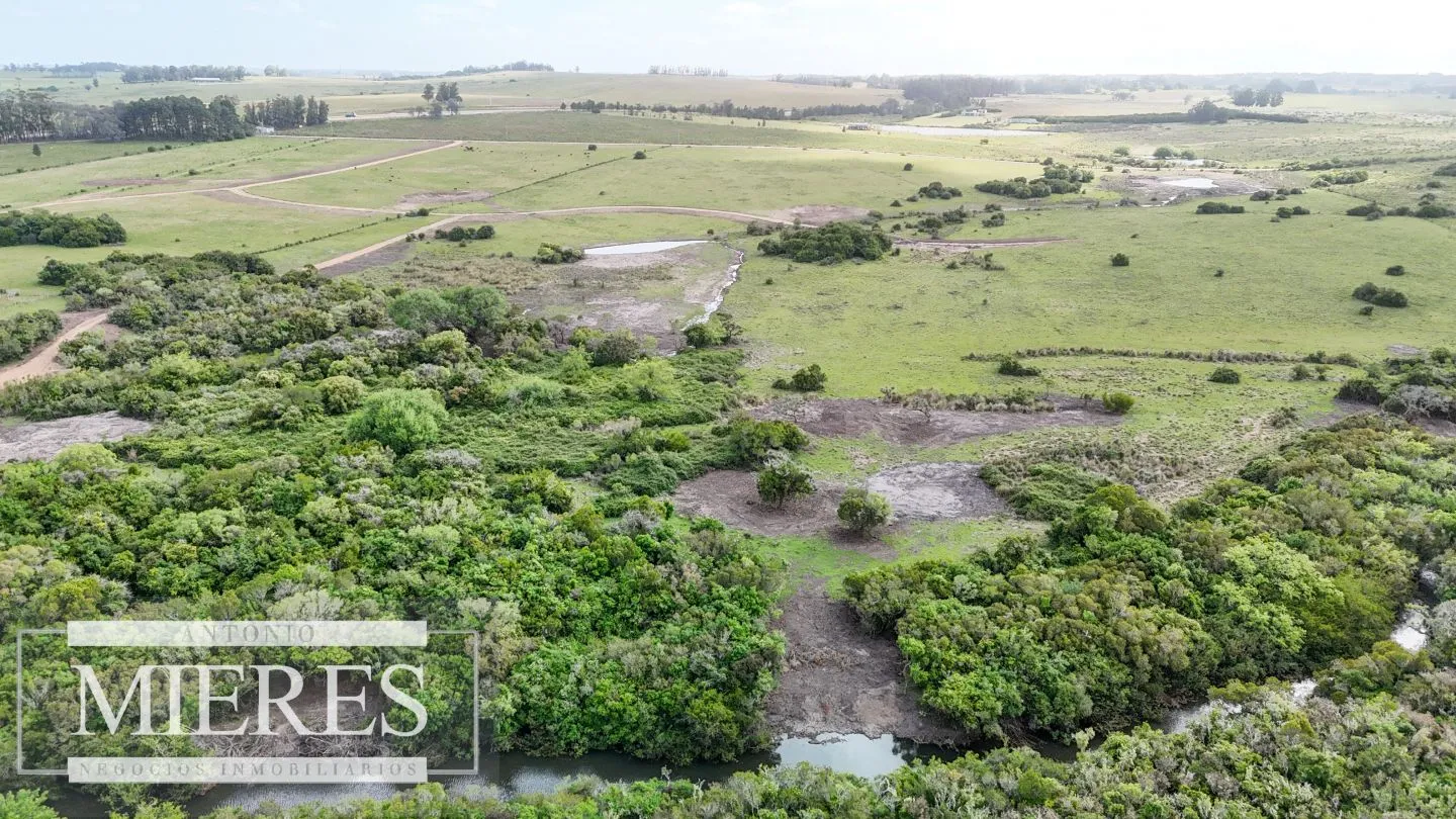 Chacra / Campo 3 ha en Laguna José Ignacio — foto 21