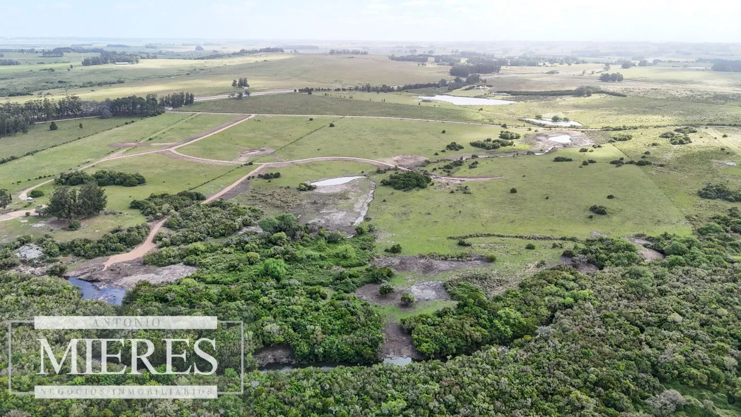 Chacra / Campo 3 ha en Laguna José Ignacio — foto 22
