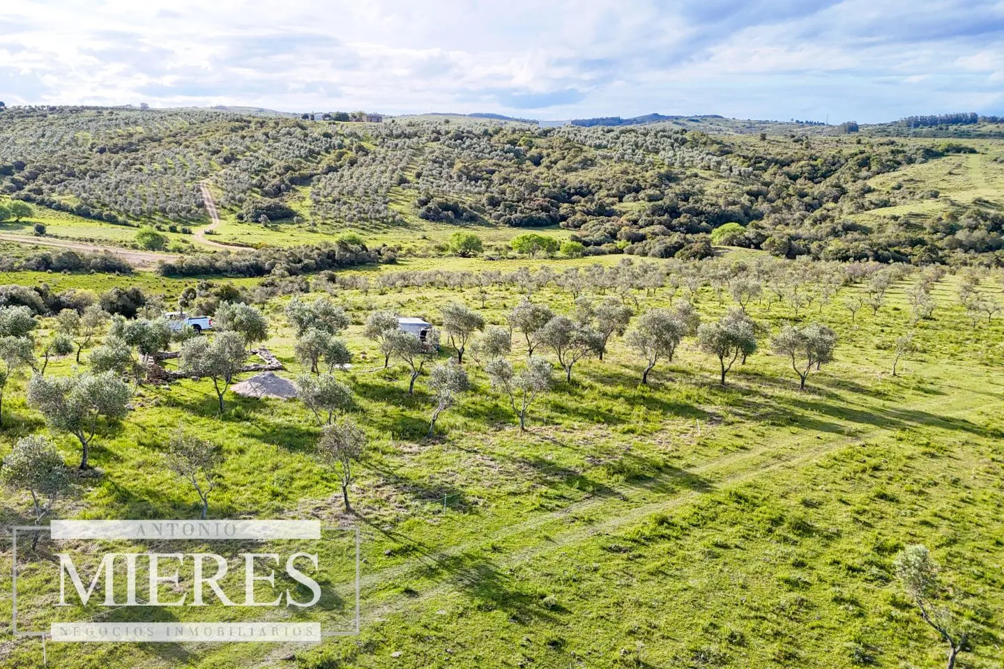 Chacra de 7ha con olivos en Pueblo Eden Maldonado — foto 15