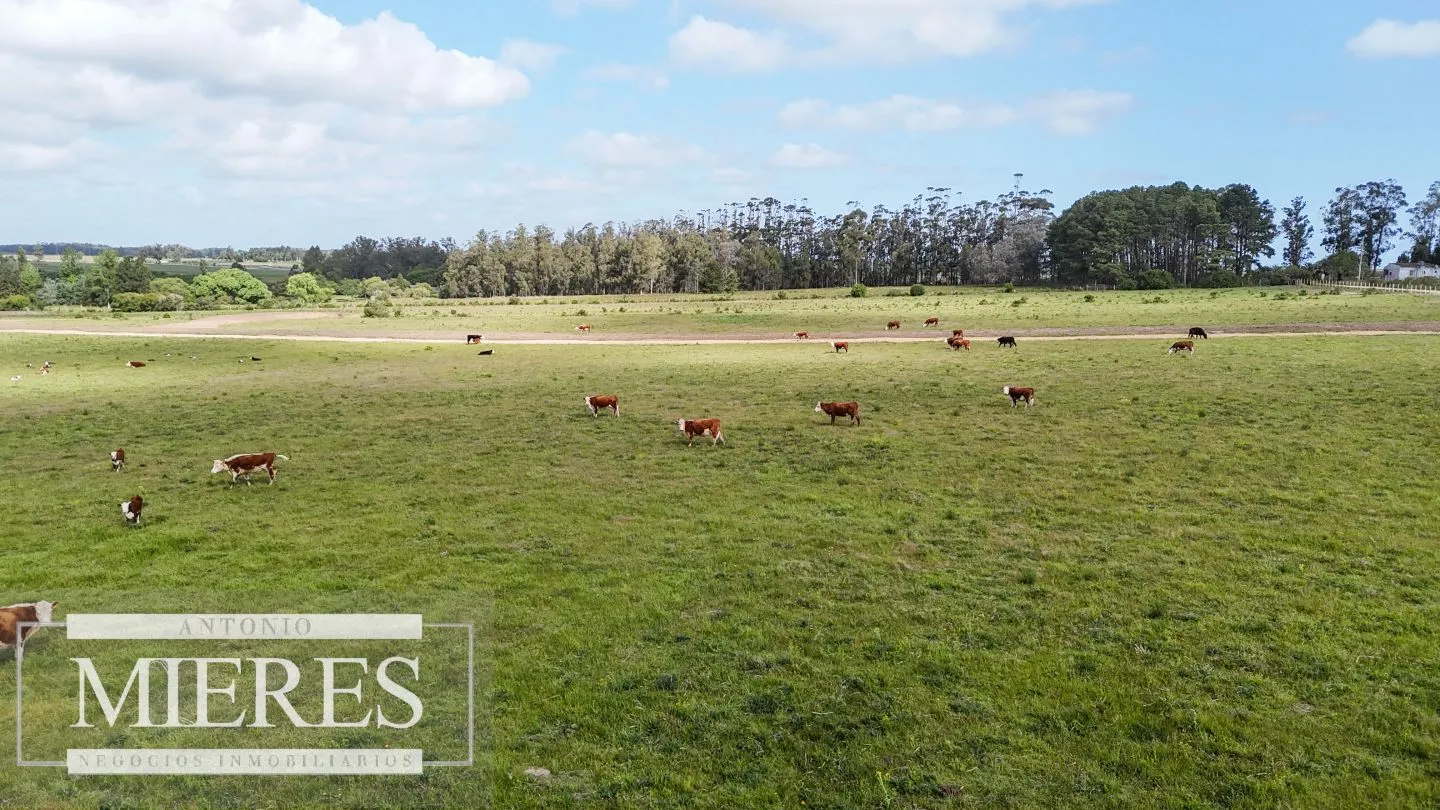 Chacra / Campo 3 ha en Laguna José Ignacio — foto 25