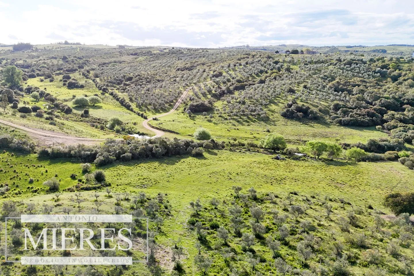 Chacra de 7ha con olivos en Pueblo Eden Maldonado — foto 17