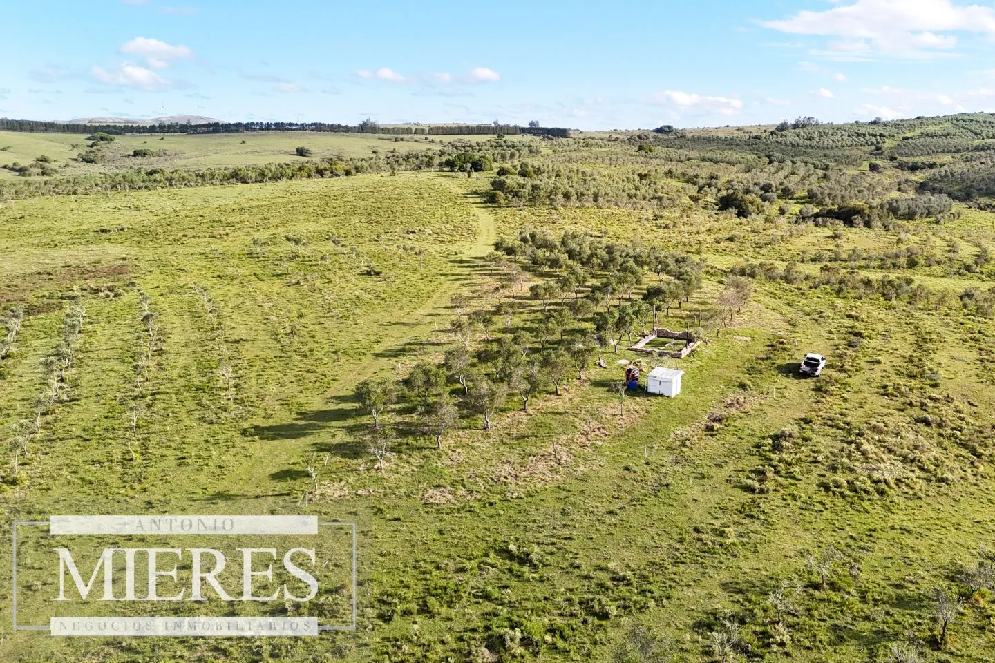 Chacra de 7ha con olivos en Pueblo Eden Maldonado — foto 18