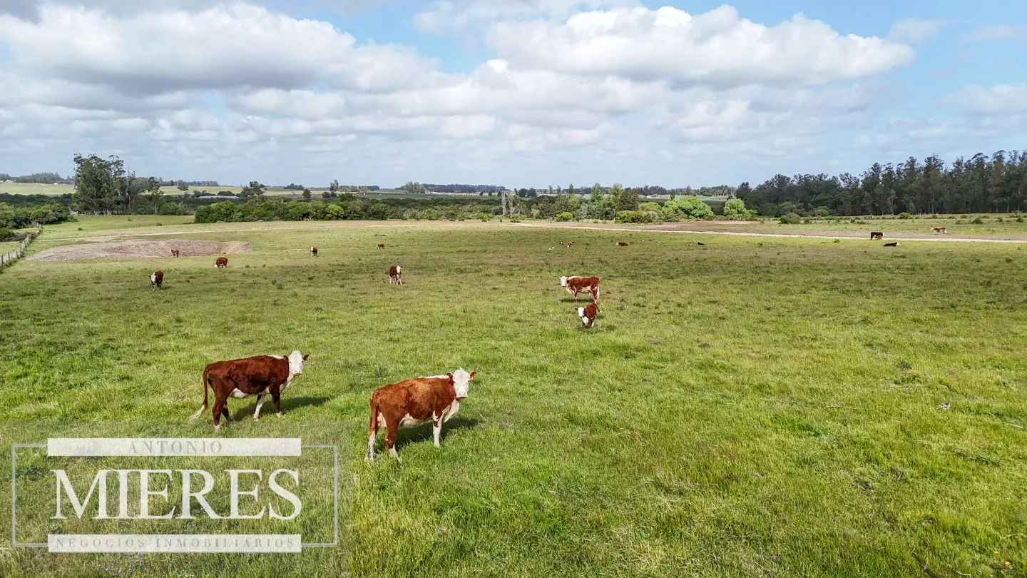 Chacra / Campo 3 ha en Laguna José Ignacio — foto 26