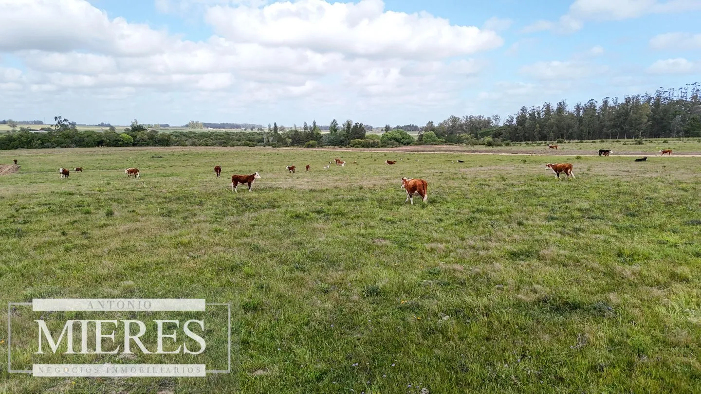 Chacra / Campo 3 ha en Laguna José Ignacio — foto 27