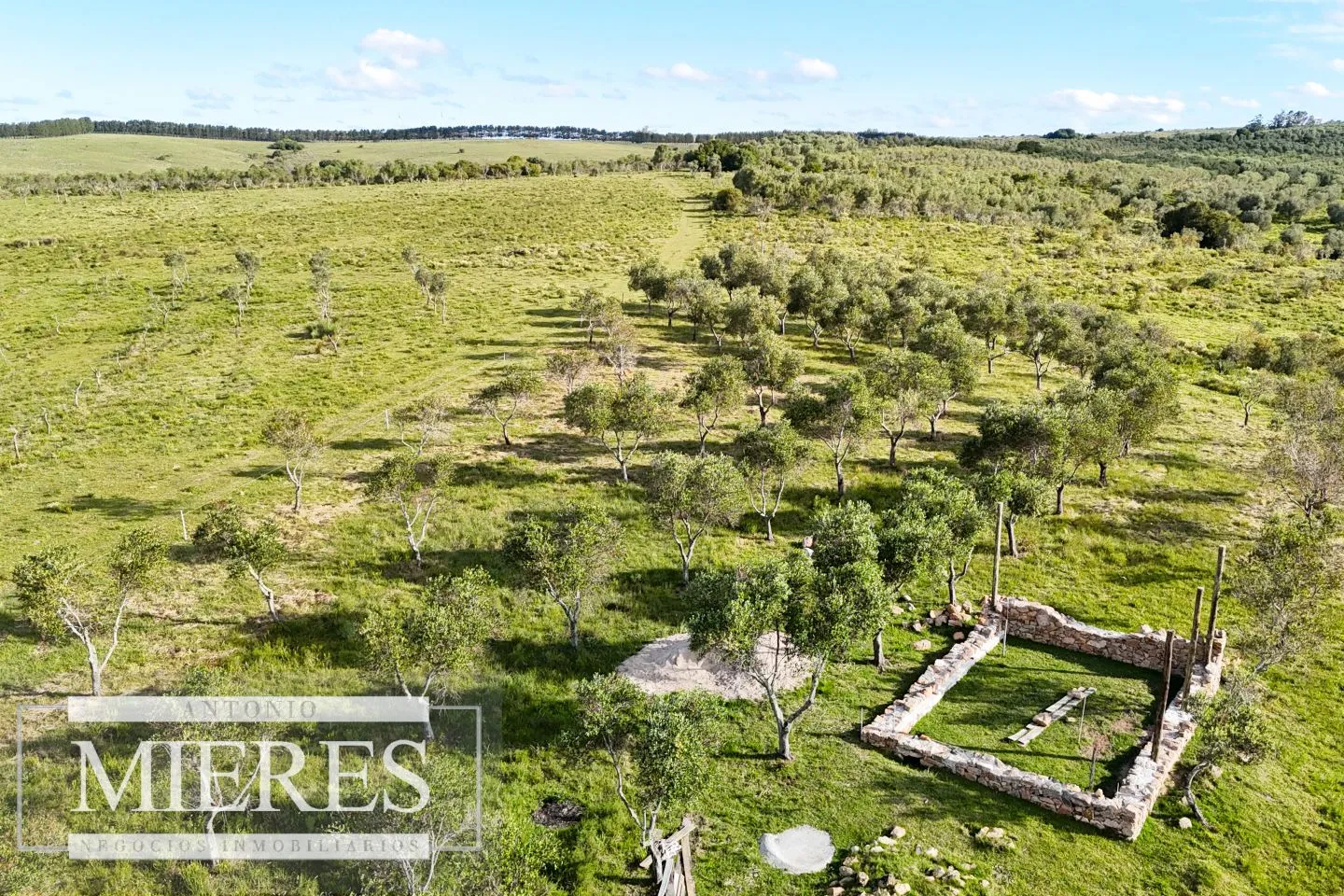 Chacra de 7ha con olivos en Pueblo Eden Maldonado — foto 19