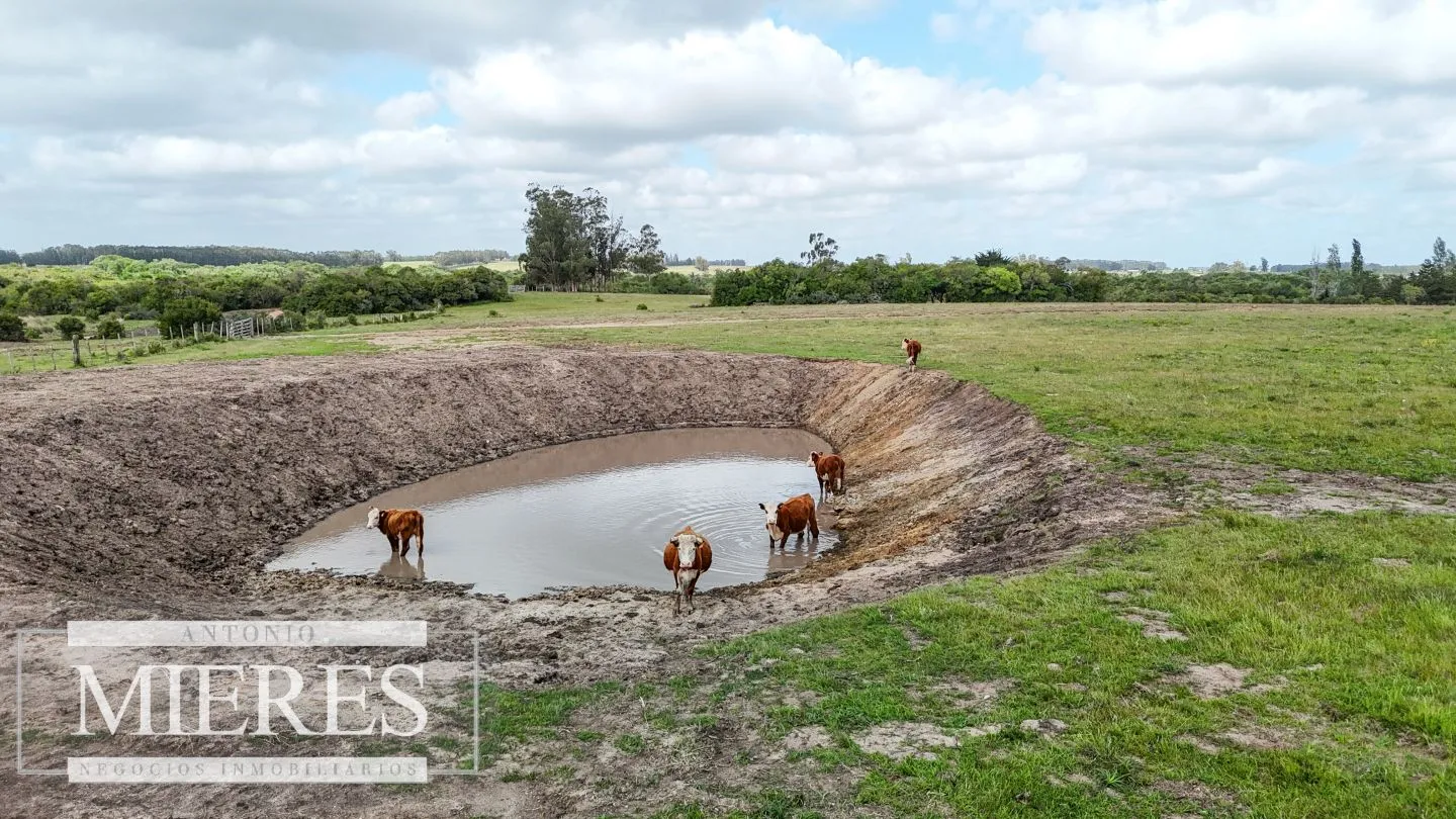Chacra / Campo 3 ha en Laguna José Ignacio — foto 28