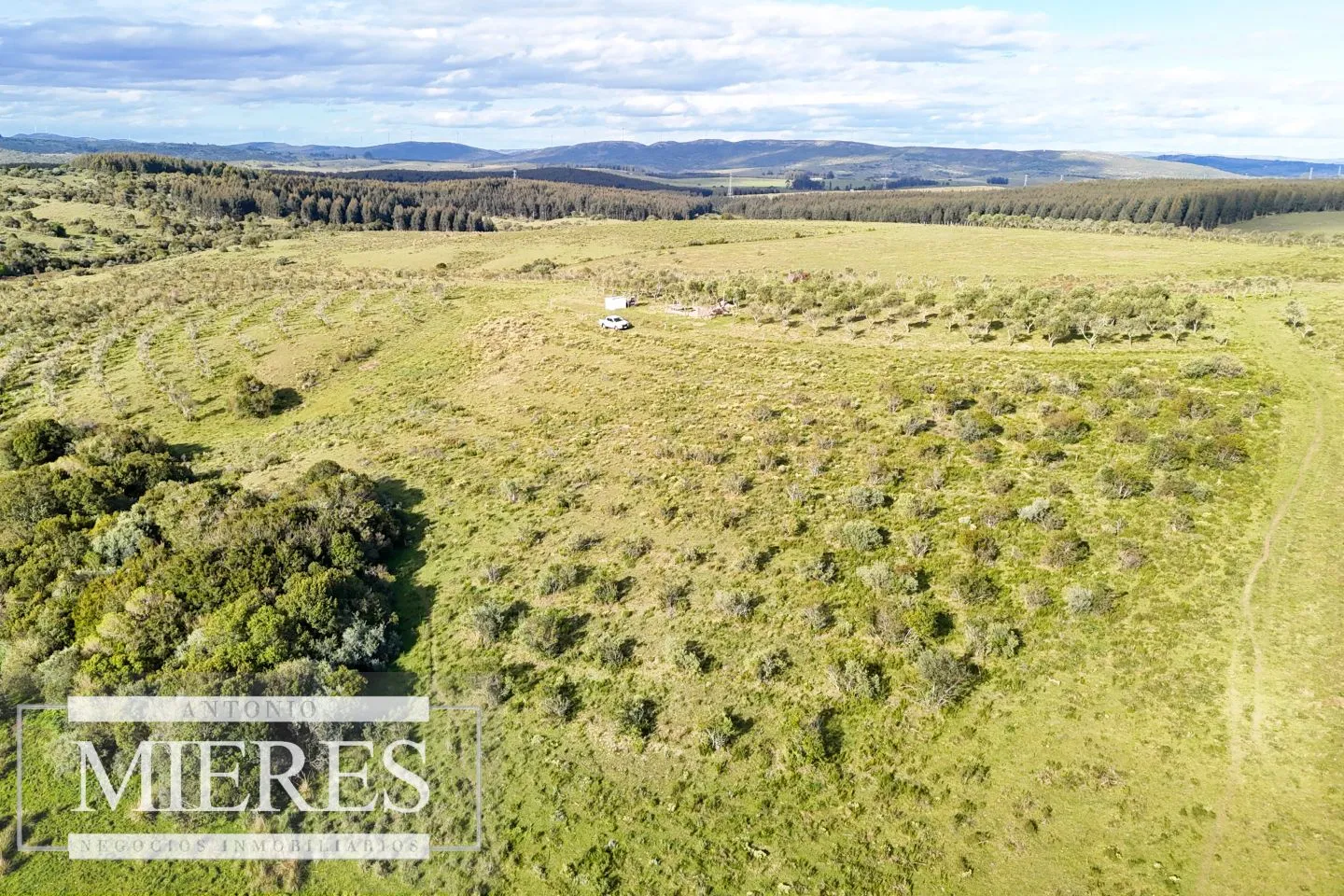 Chacra de 7ha con olivos en Pueblo Eden Maldonado — foto 20