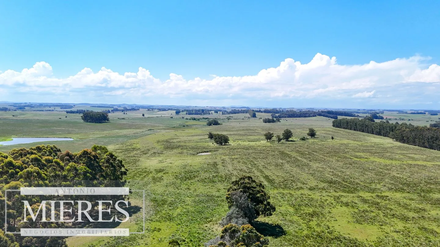 Campo de 31 ha en José Ignacio, Maldonado Uruguay. — foto 1