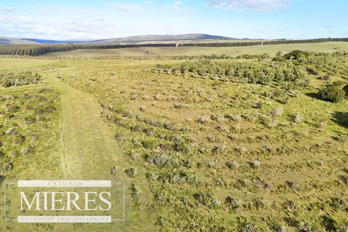 Chacra de 7ha con olivos en Pueblo Eden Maldonado — foto 21
