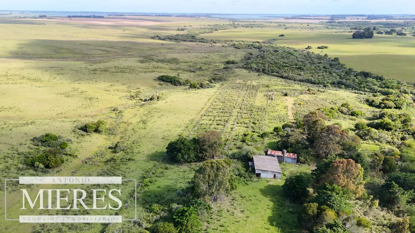 Campo de 31 ha en José Ignacio, Maldonado Uruguay. — foto 2