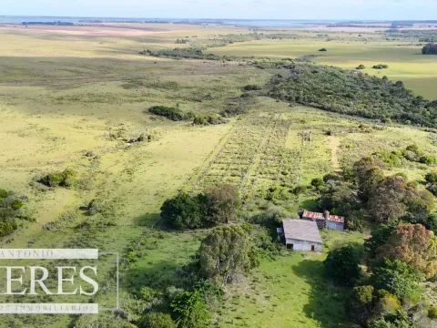 Campo de 31 ha en José Ignacio, Maldonado Uruguay. — foto 2