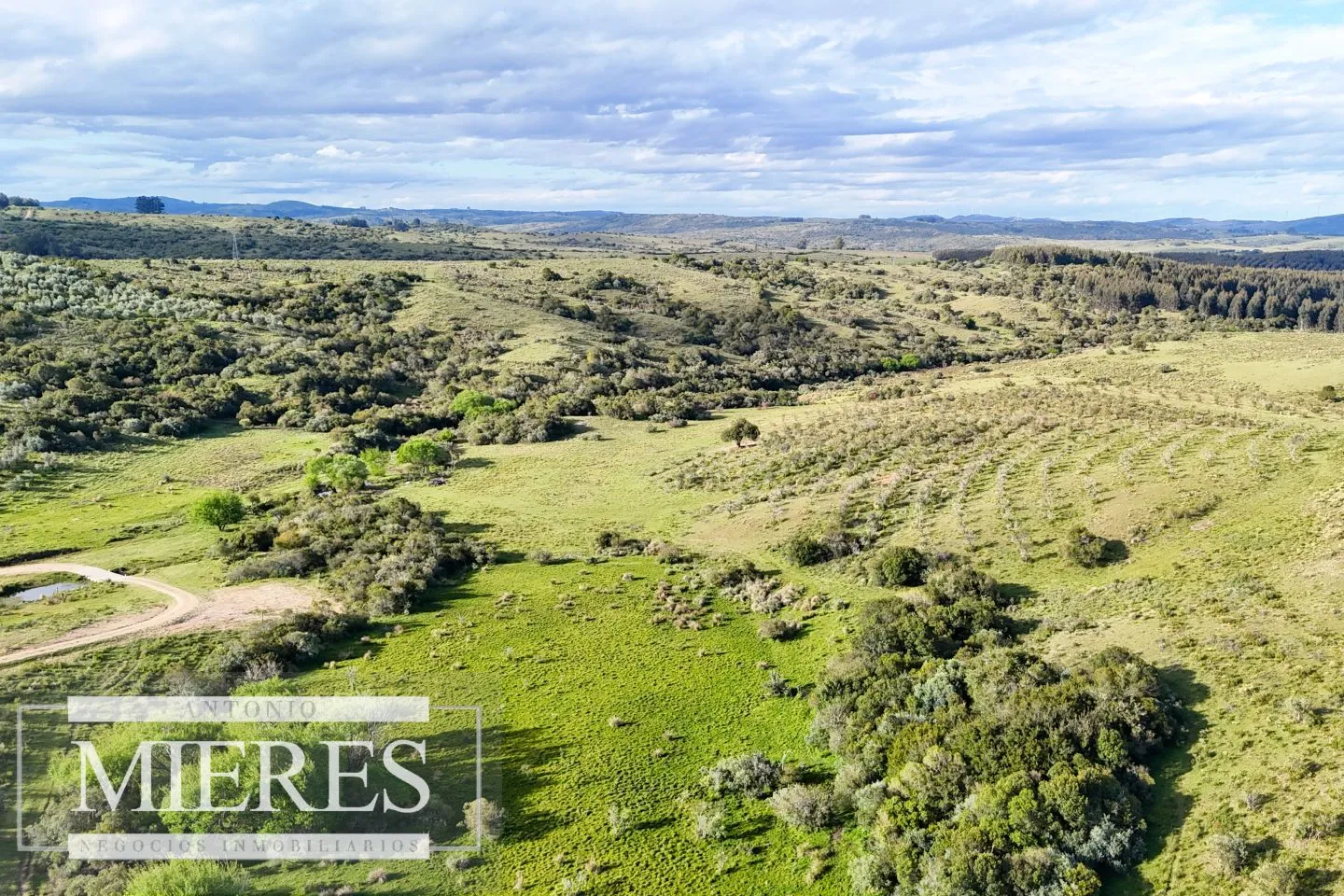 Chacra de 7ha con olivos en Pueblo Eden Maldonado — foto 22