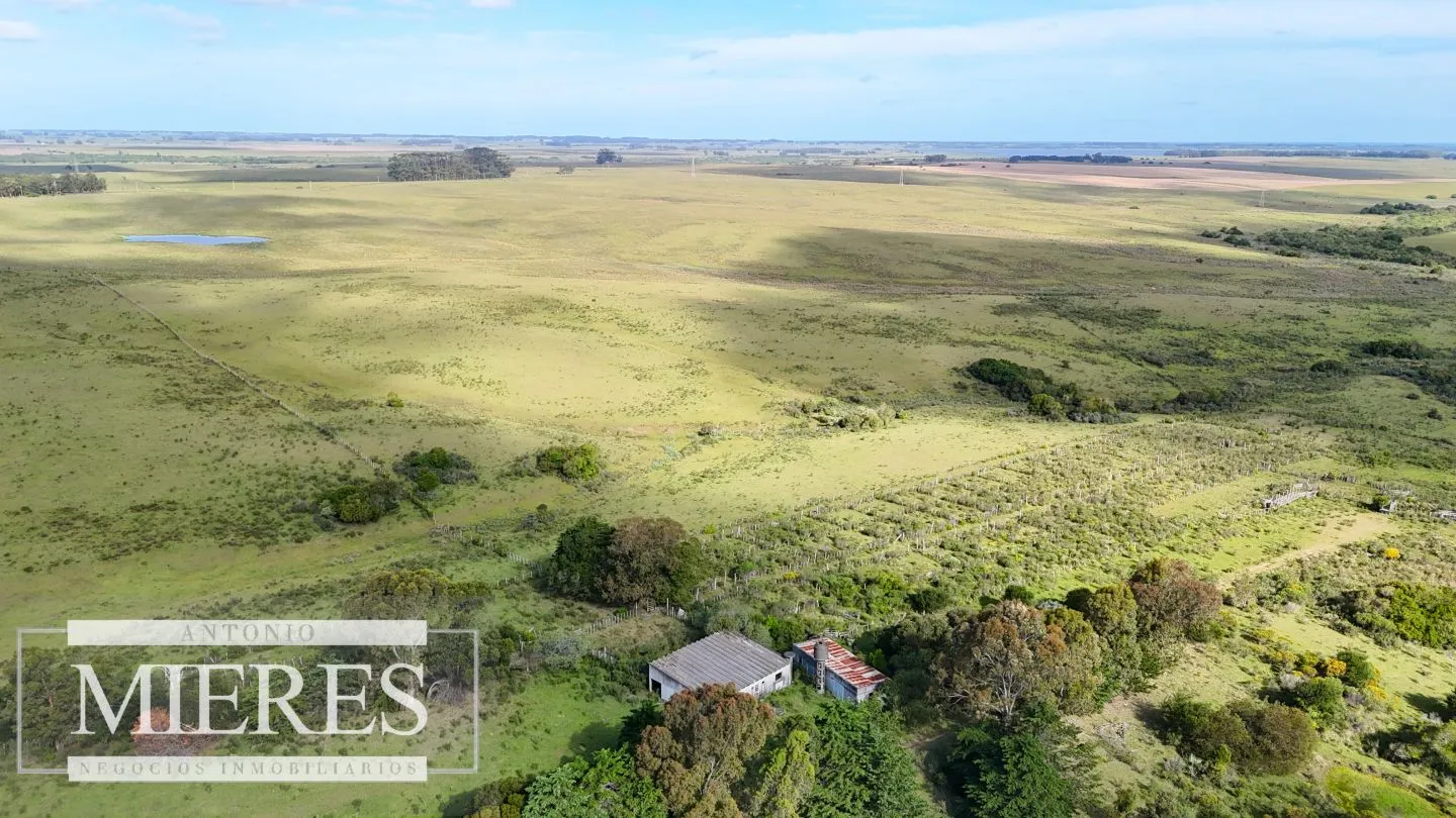Campo de 31 ha en José Ignacio, Maldonado Uruguay. — foto 3