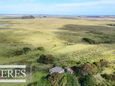 Campo de 31 ha en José Ignacio, Maldonado Uruguay. — foto 3