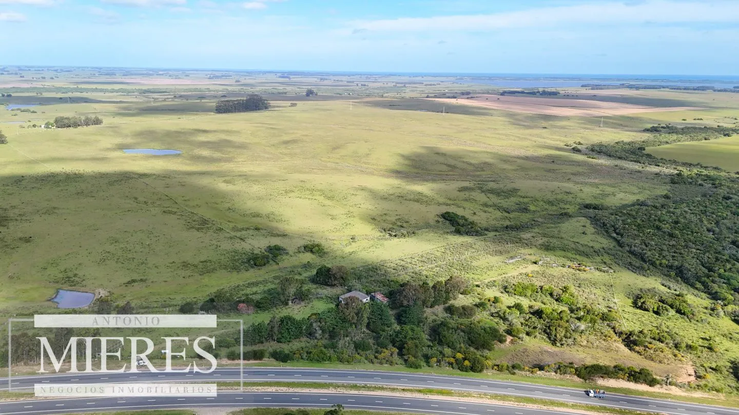 Campo de 31 ha en José Ignacio, Maldonado Uruguay. — foto 4