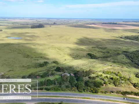 Campo de 31 ha en José Ignacio, Maldonado Uruguay. — foto 4